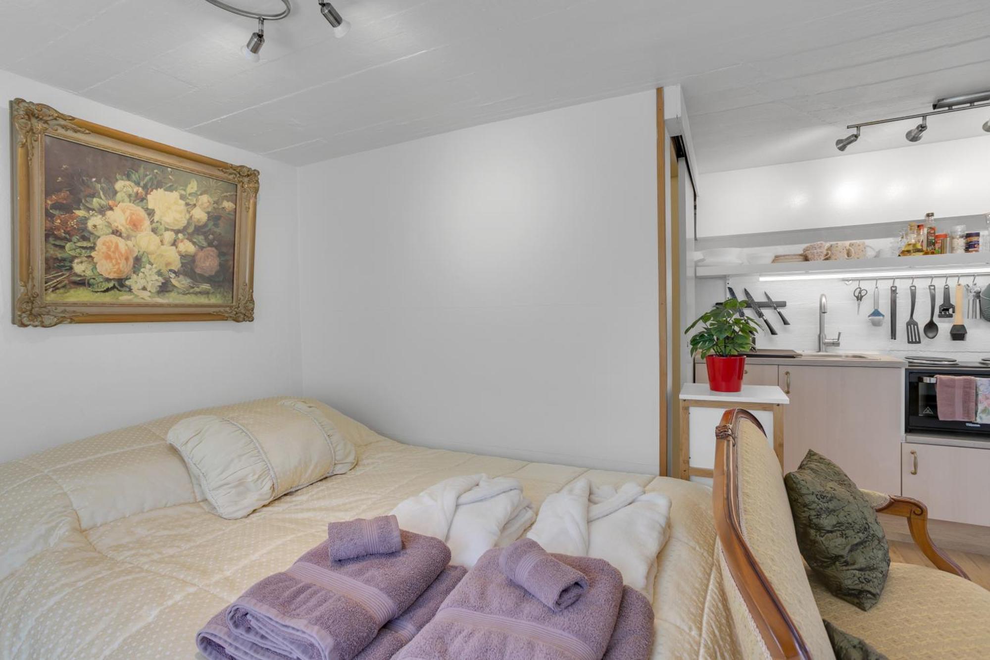 Lara Studio In Laugardalur Valley, Reykjavik Central Park And Botanical Garden, Private Entrance, Free Private Parking On Side Exteriér fotografie